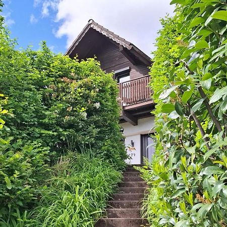 Odenwald Lounge Villa Reichelsheim Exterior photo