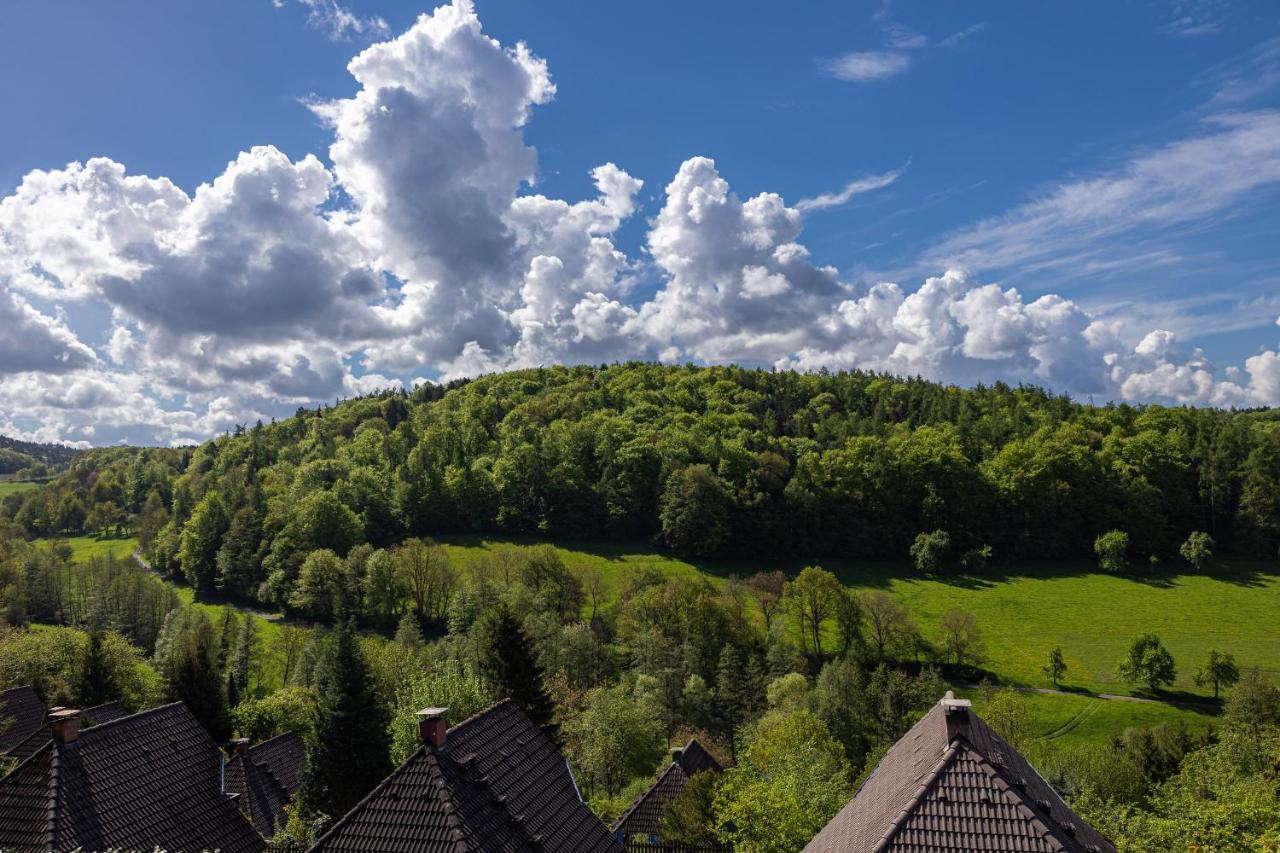 Odenwald Lounge Villa Reichelsheim Exterior photo