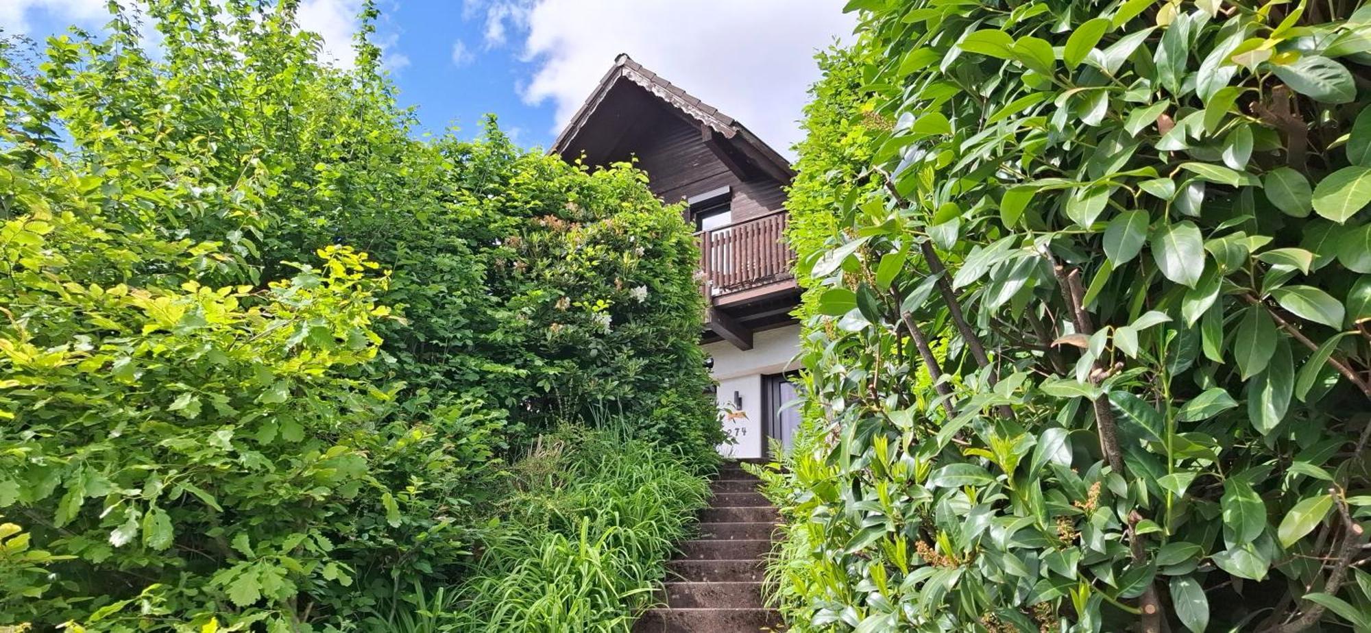 Odenwald Lounge Villa Reichelsheim Exterior photo