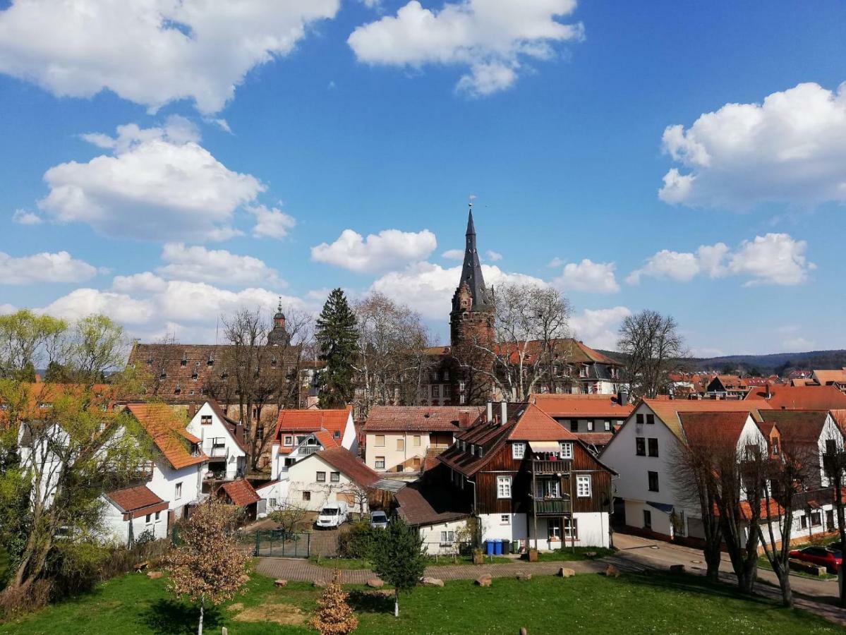 Odenwald Lounge Villa Reichelsheim Exterior photo